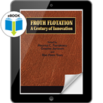 Froth Flotation: A Century of Innovation eBook